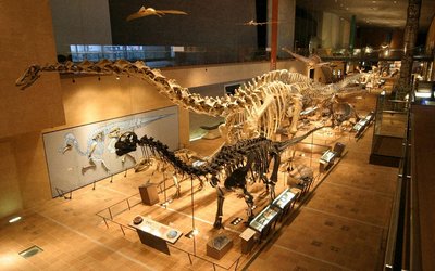 🏛️ 기타큐슈 시립 생명의 여행 박물관(키타큐슈 시리츠 이노치노타비 하쿠부츠칸)